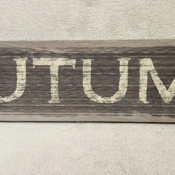 Wooden sign spelling 'AUTUMN' with rustic white letters on a dark wood background.