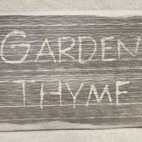 Garden Thyme