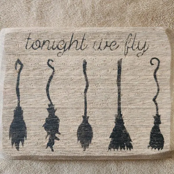 Tonight We Fly