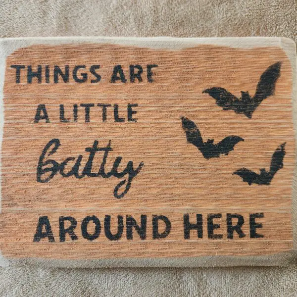 Things Are A Little Batty Around Here